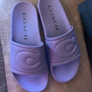 Coach Ulla Slides. Womens Size 8 Coach Slides. Still in Box. Excellent.